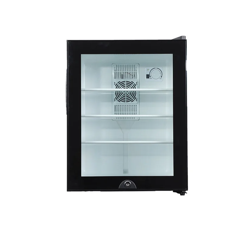 Mini Fridge Cooler 40L Refrige - Wine Beer Mini Fridge recension och pris