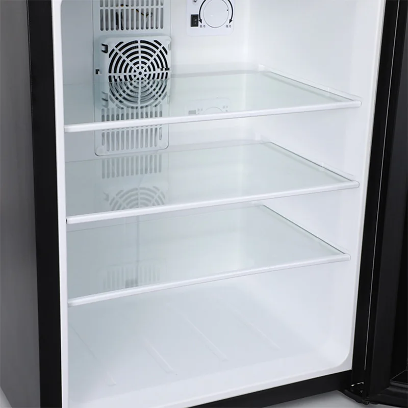 Mini Fridge Cooler 40L Refrige - Wine Beer Mini Fridge recension och pris