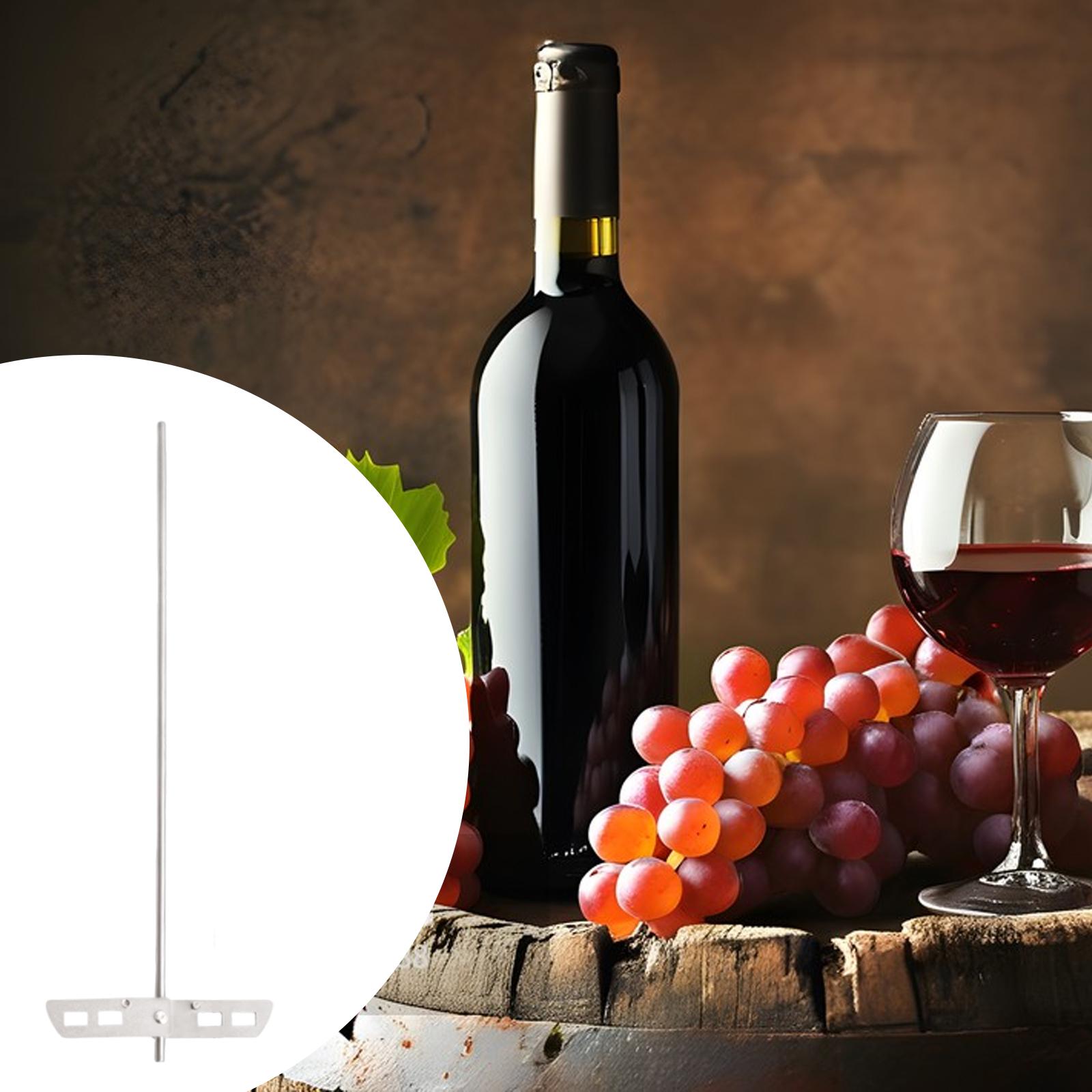 High Efficiency Degassing Whip - Wine Mix With Beer recension och pris